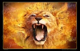 Leo Venus Cazimi Beyond the Lion’s Gate: Let Her Roar!